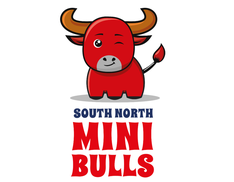 Mini Bulls Active Session - Toddler Cricket